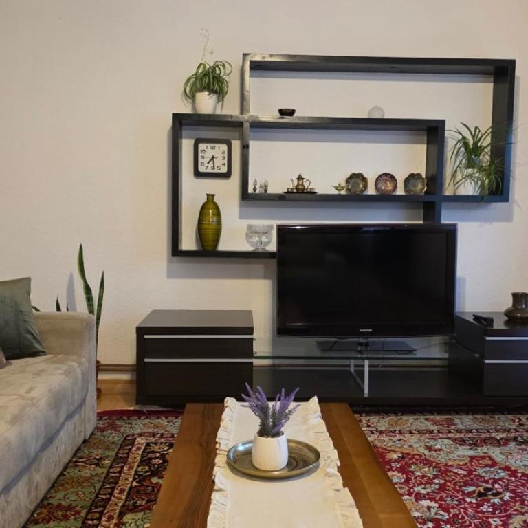 Old Town Bistrik apartment - Apartman sa 1 Spavaćom Sobom - 3