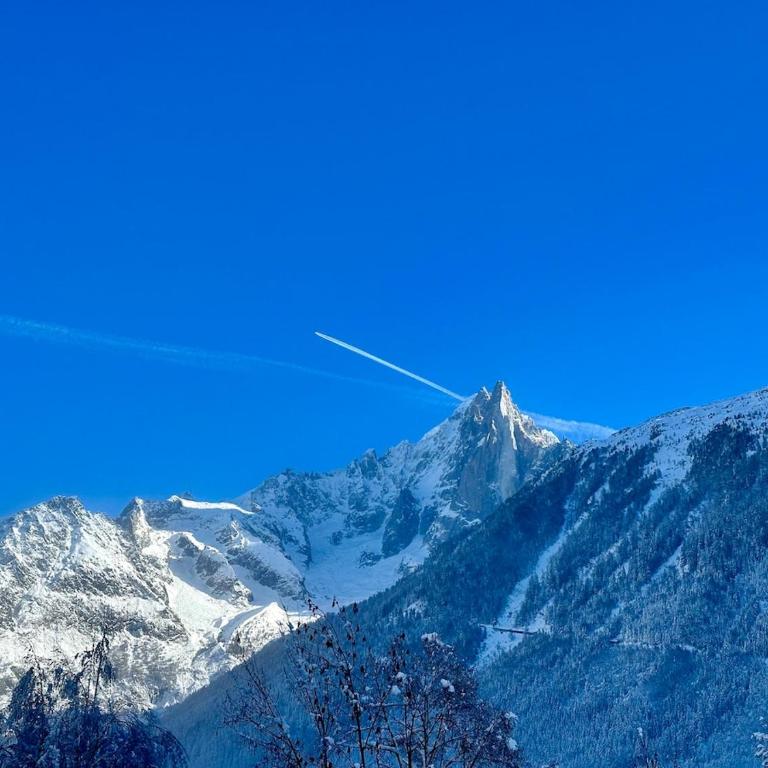 Bliss ski Chamonix chalet - Maison 2 Chambres - 10