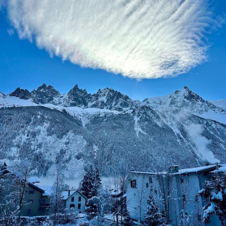 Bliss ski Chamonix chalet - Maison 2 Chambres - 22