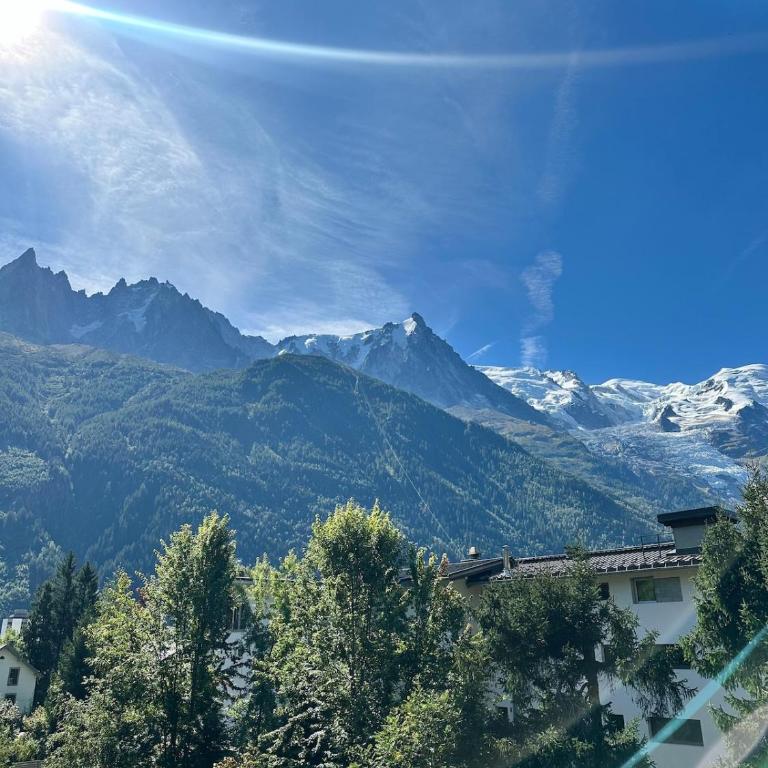 Bliss ski Chamonix chalet - Maison 2 Chambres - 27