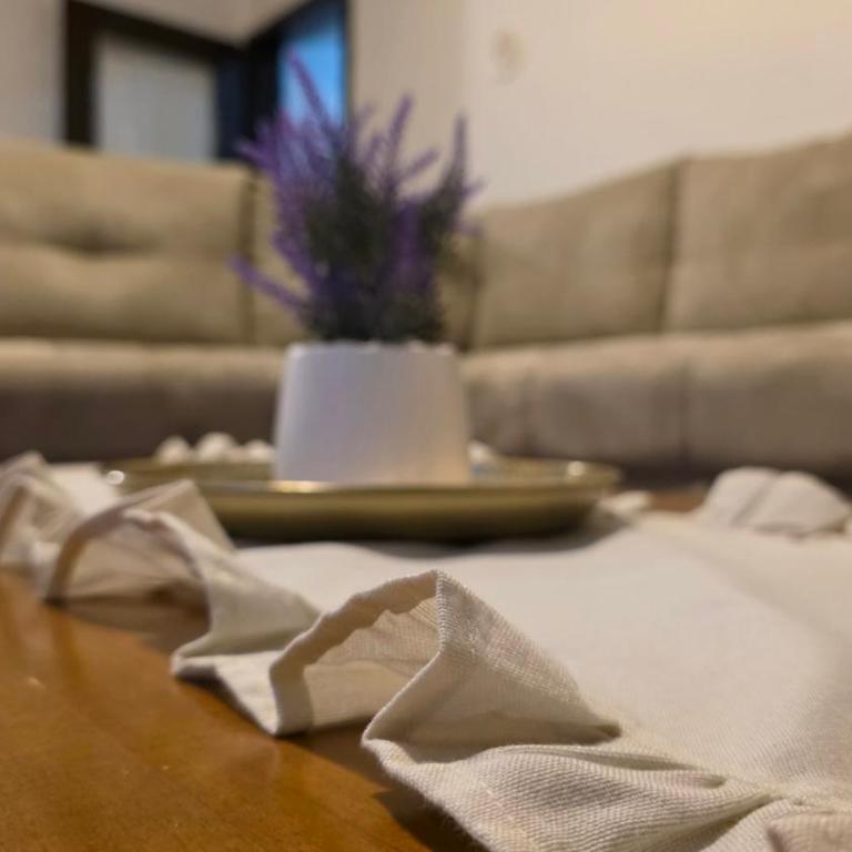 Old Town Bistrik apartment - Apartman sa 1 Spavaćom Sobom - 23