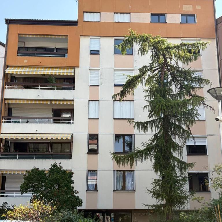 Le Grand Central du Léman centre ville - Appartement - 38
