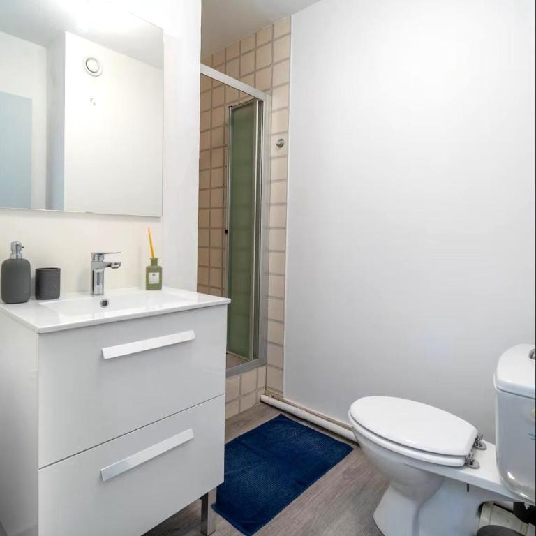 T5 a 2 mins Piscine Olympic Antigone - Appartement - 11