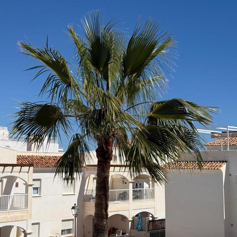 Golf & Retreat - Apto para 4 personas a 100m de la playa de Mojacar - Apartamento de 2 dormitorios con vistas a la piscina - 26