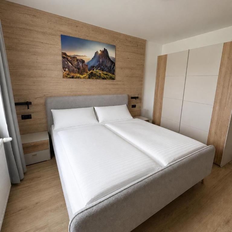 Daheim in Gastein - Alpentherme inklusive ab Oktober 2026 - Appartamento con doccia - 6