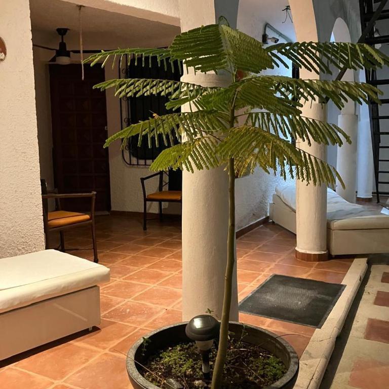Villa Mille Kiddo - Three-Bedroom Villa - 3