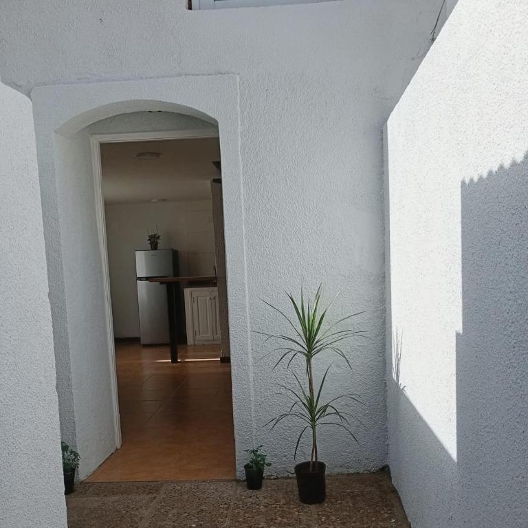Oro y Miel II en pleno centro de Chascomús - One-Bedroom Apartment - 5