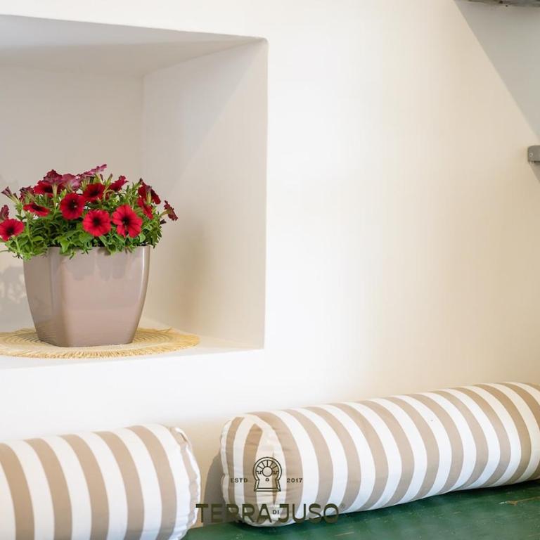 Casa Cubo in Valle d' Itria - Maison 1 Chambre - 30