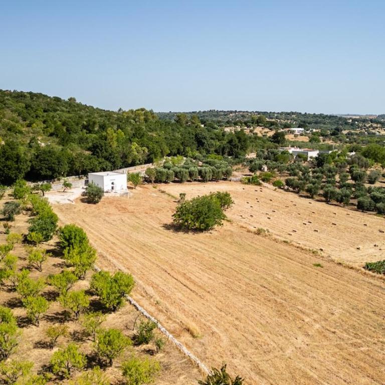 Casa Cubo in Valle d' Itria - Maison 1 Chambre - 39