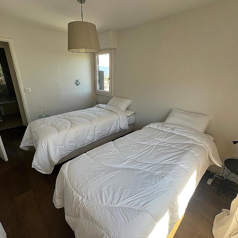 L'attique du salève - Appartement 2 Chambres avec Terrasse - 3