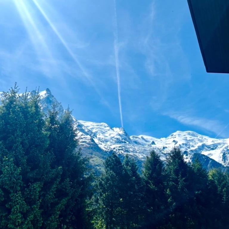 Apartment with views of Mont Blanc in Chamonix - Appartamento - 14
