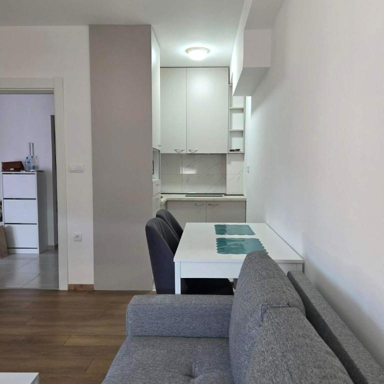 Apartman Vrnjacka Banja - Apartman sa 1 Spavaćom Sobom - 8