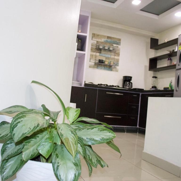 Casa Privada Montenegro - Four-Room Apartment - 3