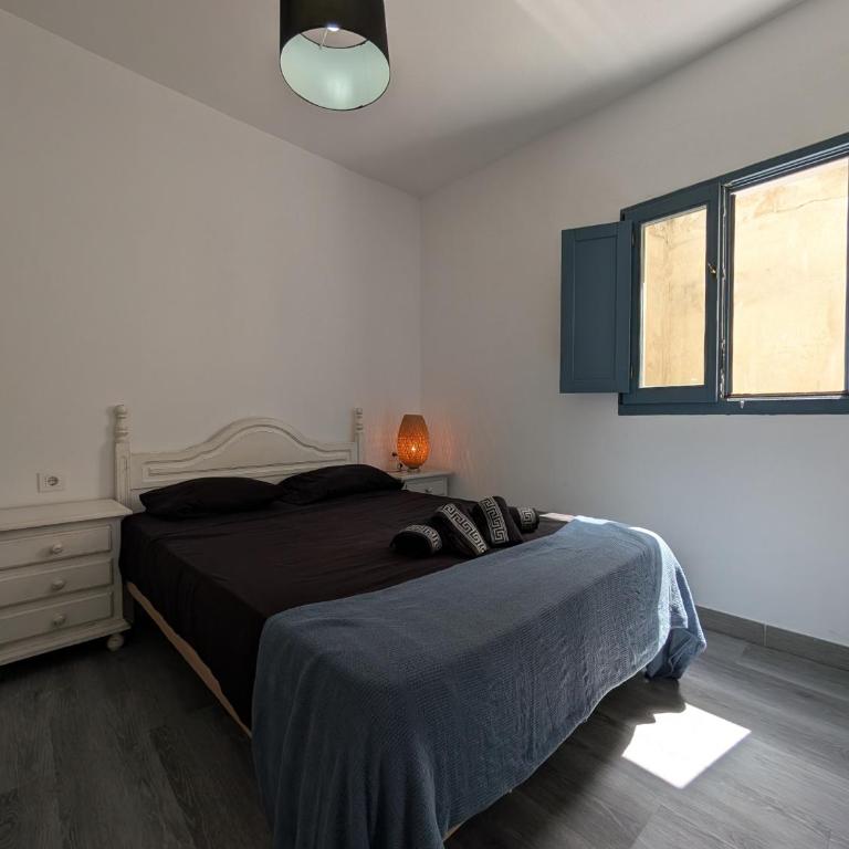 403 Florinda 3 - Estudio - 8