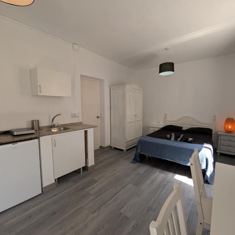 403 Florinda 3 - Estudio - 10