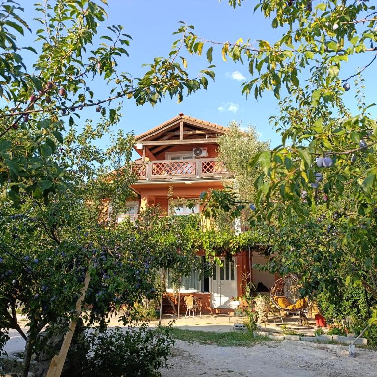 Green Valley GV - Appartement 1 Chambre - Vue sur Jardin - 5