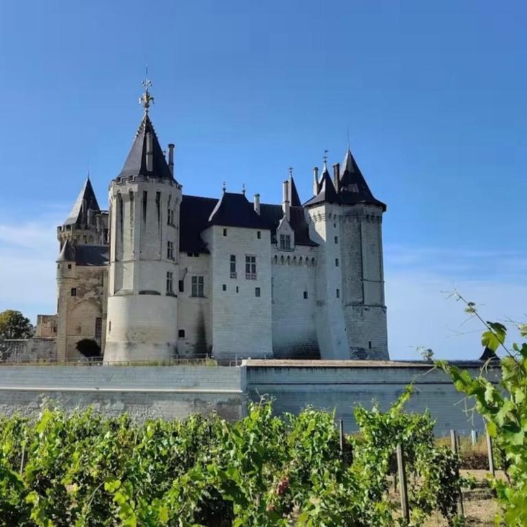 La Propriété de Bacchus - L'Écrin de Loire - Design & Confort - Saumur Centre - 7 personnes - Appartement 2 Chambres Deluxe - 15
