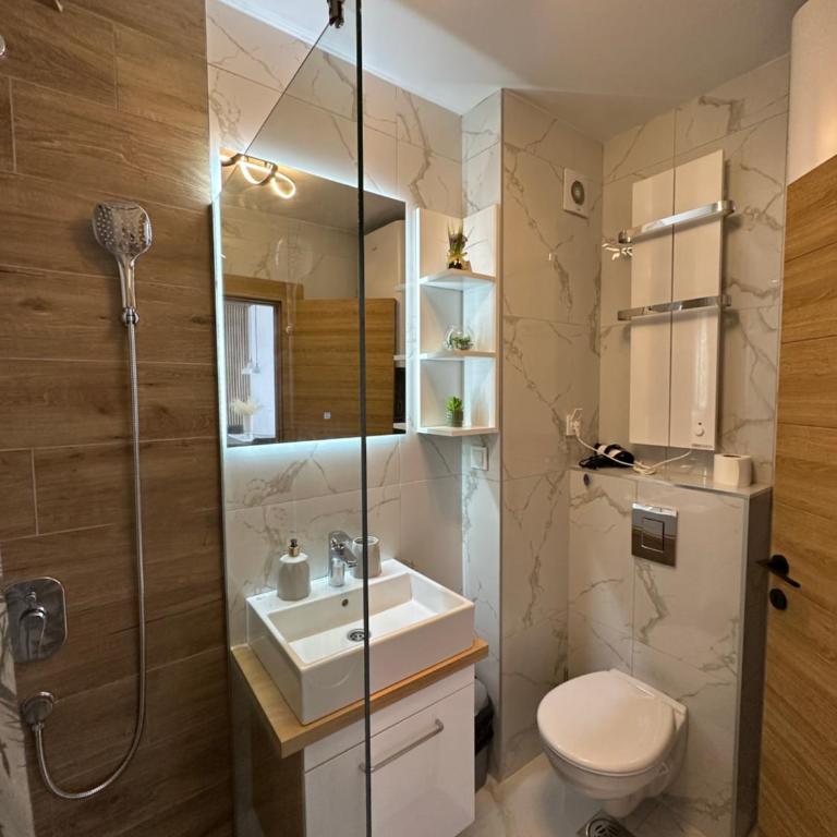 Wellnes & Spa Grand 61 - Apartman sa 1 Spavaćom Sobom - 29