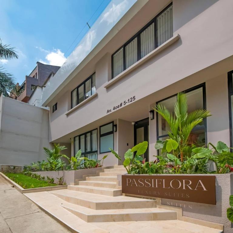 Edificio Passiflora Luxury Suite - Standard Suite - 3