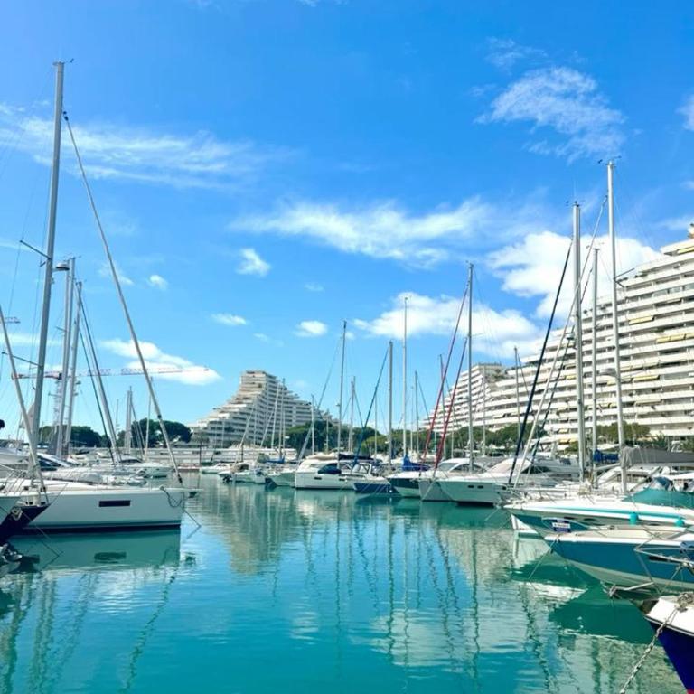 L'échappée Marine - Terrasse au calme à 800m plages - Studio Standard - 24
