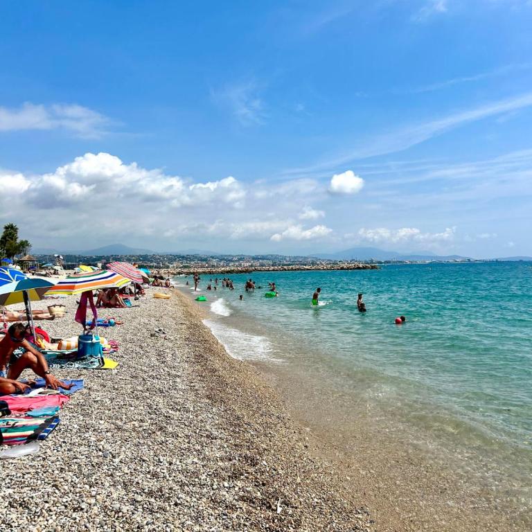 L'échappée Marine - Terrasse au calme à 800m plages - Studio Standard - 25