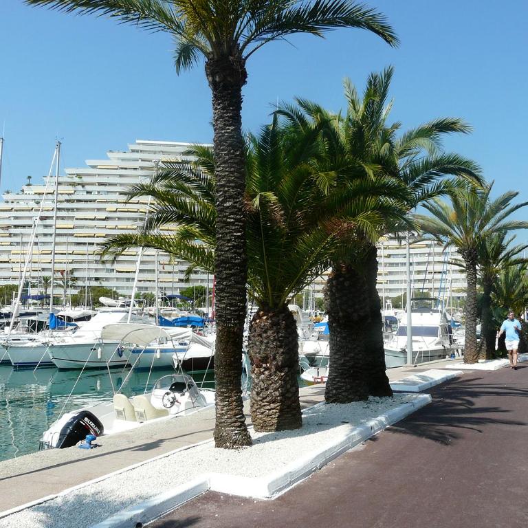 L'échappée Marine - Terrasse au calme à 800m plages - Studio Standard - 28