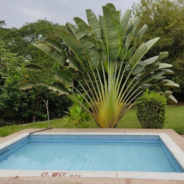 Villa Alejandra La Guitarra value for 20 people - Casa de 4 dormitorios - 12