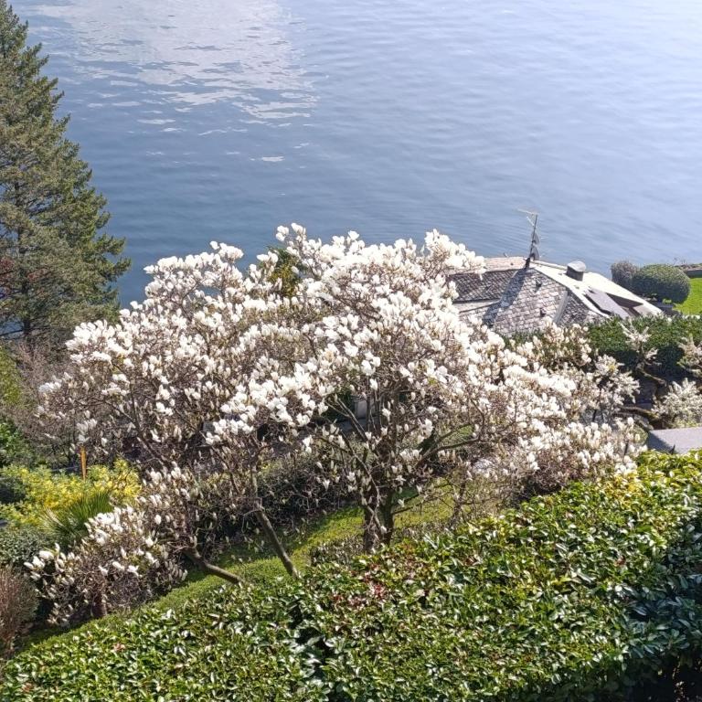 La Gabbianella - Lake Como view terrace - Appartamento con 2 Camere da Letto e Vista Lago - 53