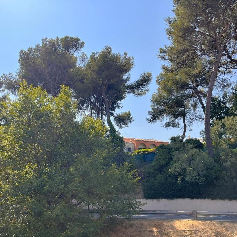 L'échappée Marine - Terrasse au calme à 800m plages - Studio Standard - 19