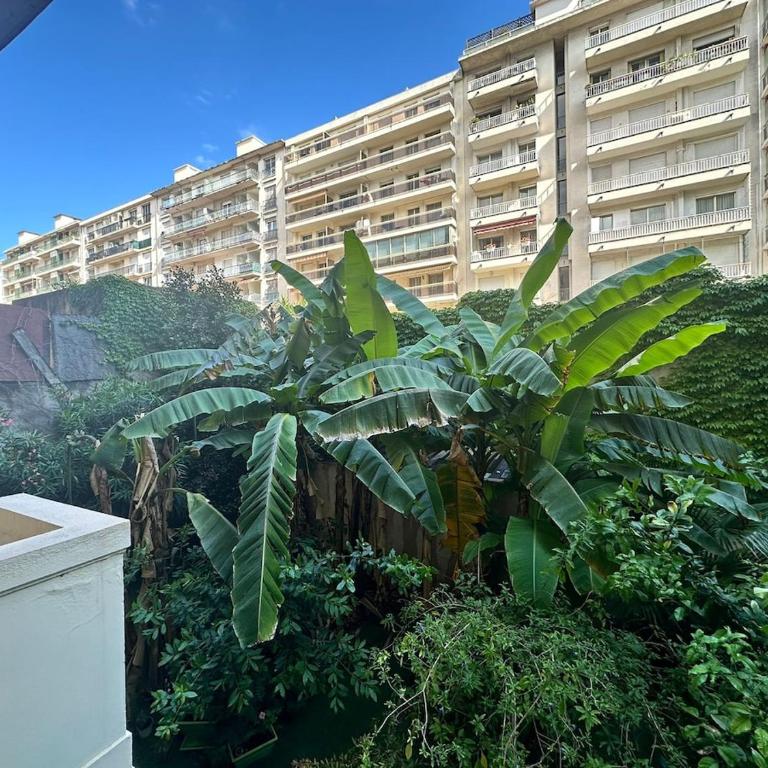 HORIZON BLEU 5 Air conditioning GARDEN 3 minutes beach - Studio - 18