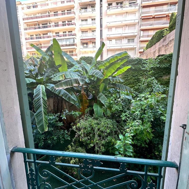 HORIZON BLEU 5 Air conditioning GARDEN 3 minutes beach - Studio - 27