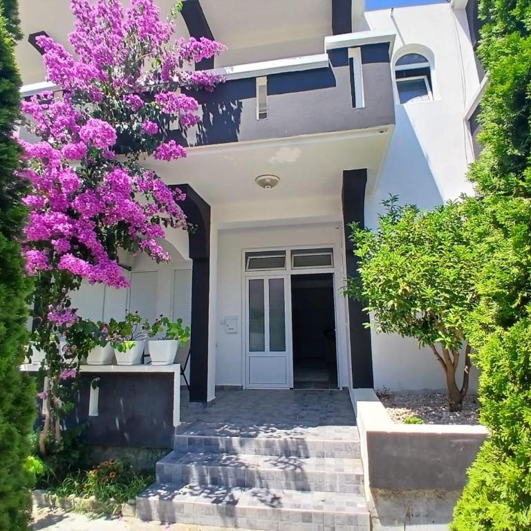 Villa Omer Kollari - Apartman - 3