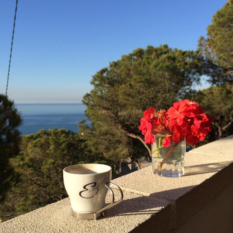 Mediterranean Home with Sea Views and Spacious Terraces - Villa - 6