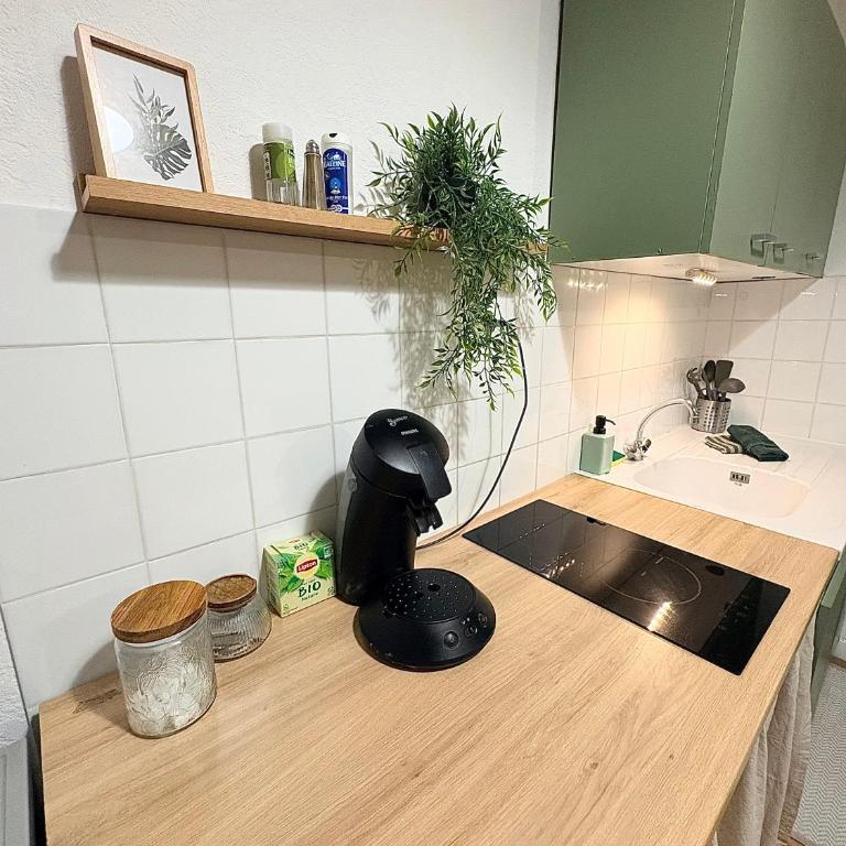 Studio le «Victor Hugo» , hyper centre ville - Apartment mit 1 Schlafzimmer - 16
