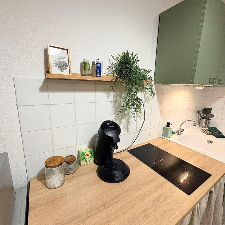 Studio le «Victor Hugo» , hyper centre ville - Apartment mit 1 Schlafzimmer - 18