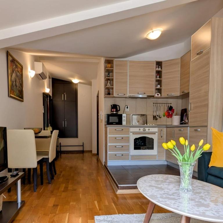 Apartment Bjanka - Apartment mit 1 Schlafzimmer - 4