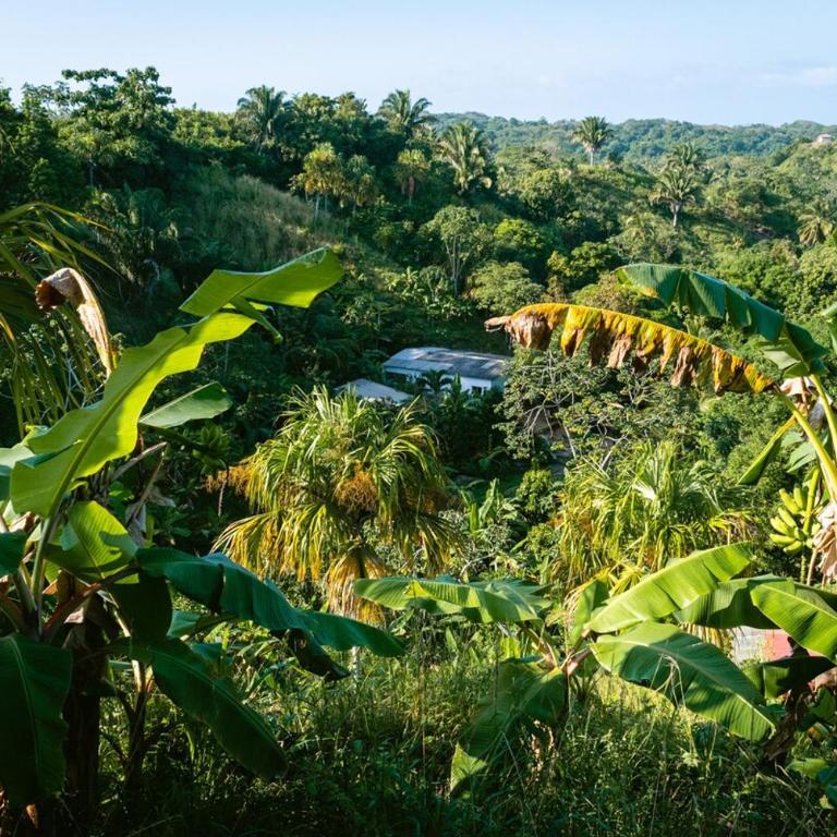 Finca Natural Mystic - One-Bedroom Apartment - 2