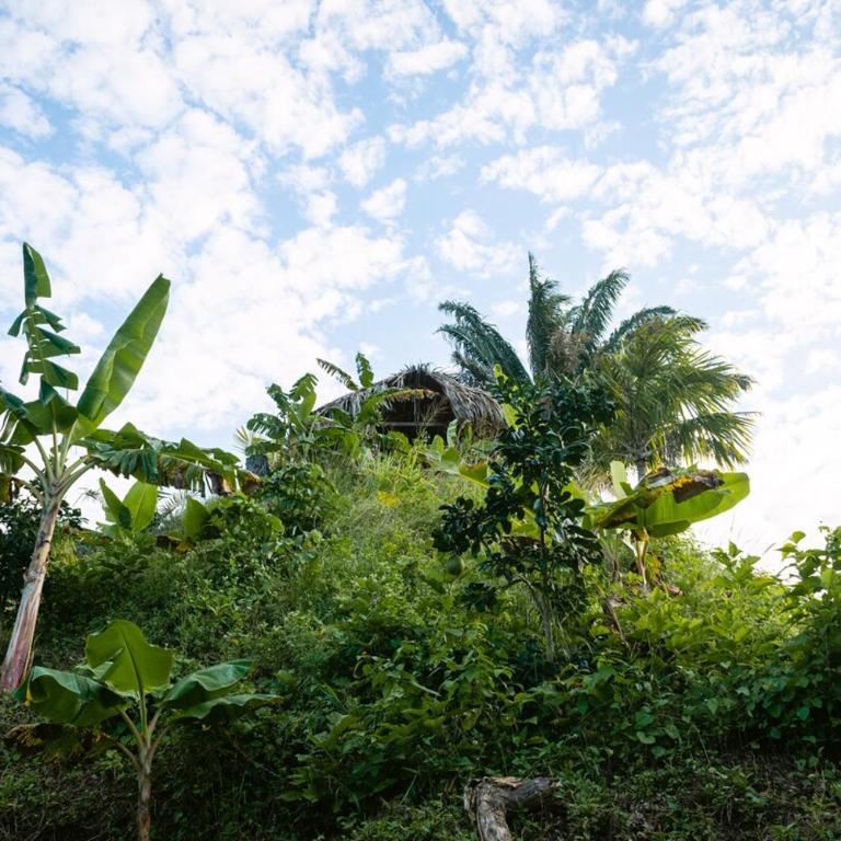 Finca Natural Mystic - One-Bedroom Apartment - 32
