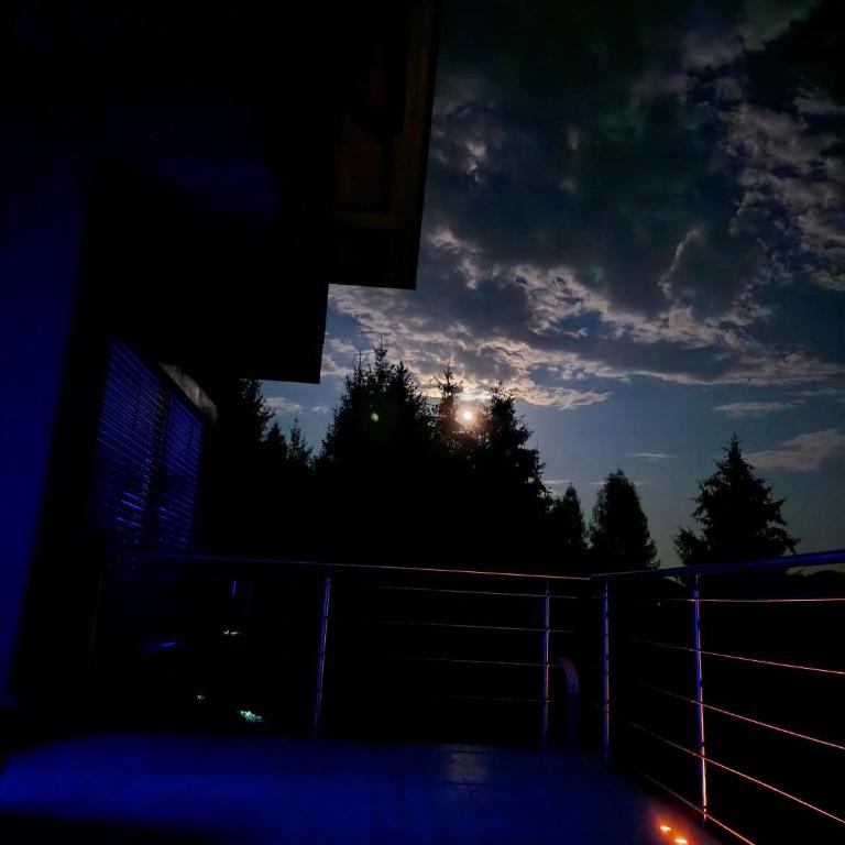 Modern house in the woods with a view of Millstättersee - Superior Villa - 12