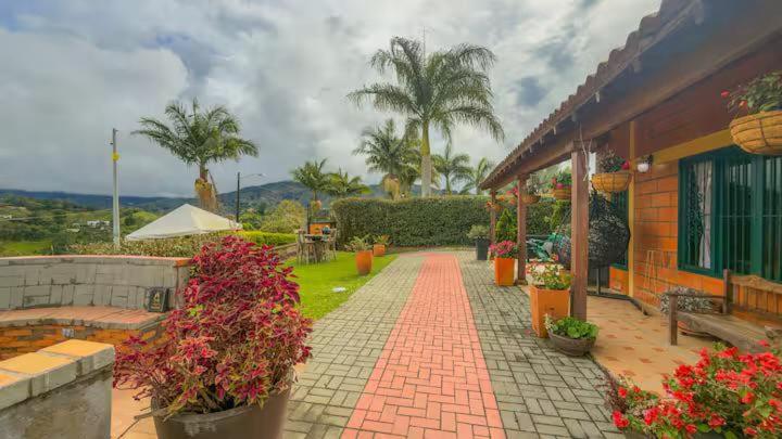 Finca Villa Silvestre - Villa de 3 dormitorios - 22