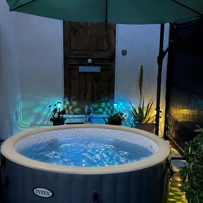 Oasis de verdure en centre-ville - jacuzzi privé - Appartement 1 Chambre - 3
