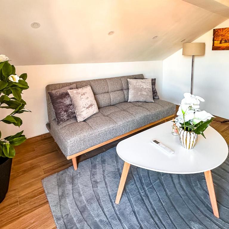 Mahala Studio Apartment - Apartman sa Balkonom - 4