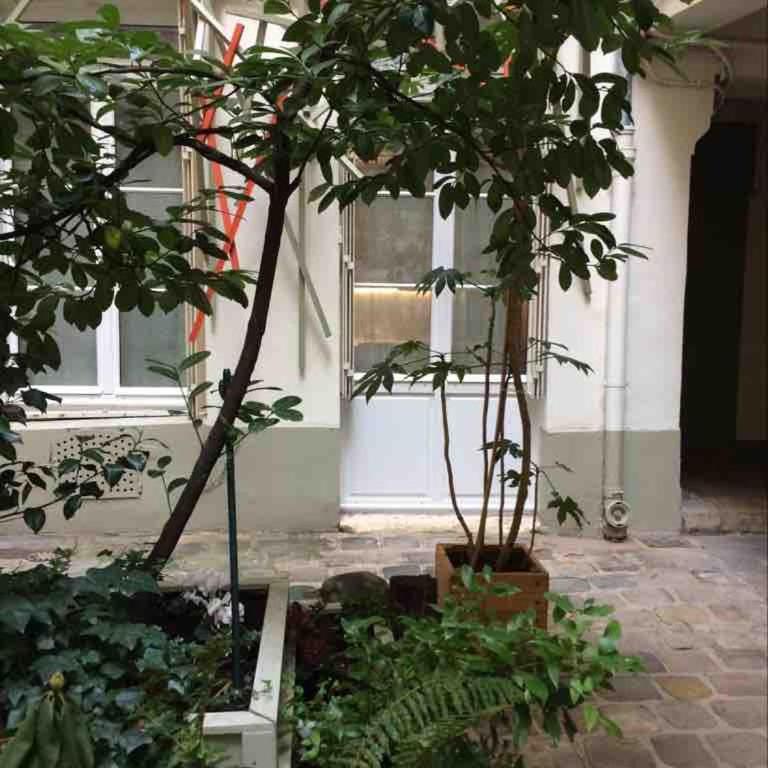 Great comfort Paris 1 - Appartement 2 Chambres - 14