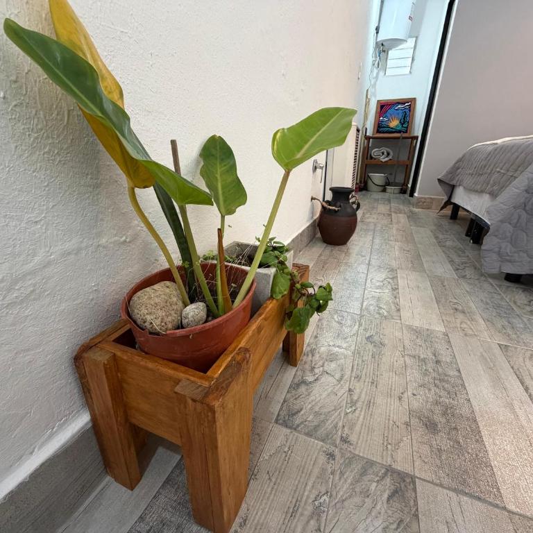 RinconSur2 - Apartamento de 1 dormitorio - 14