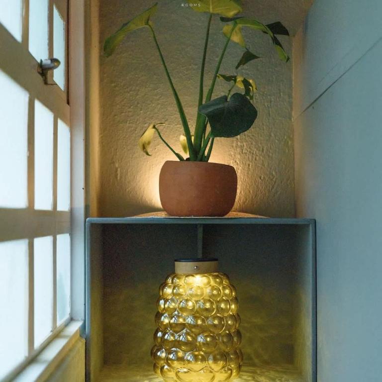 Artful Mexican Tiny Home in Condesa Escandon - Apartamento - 5