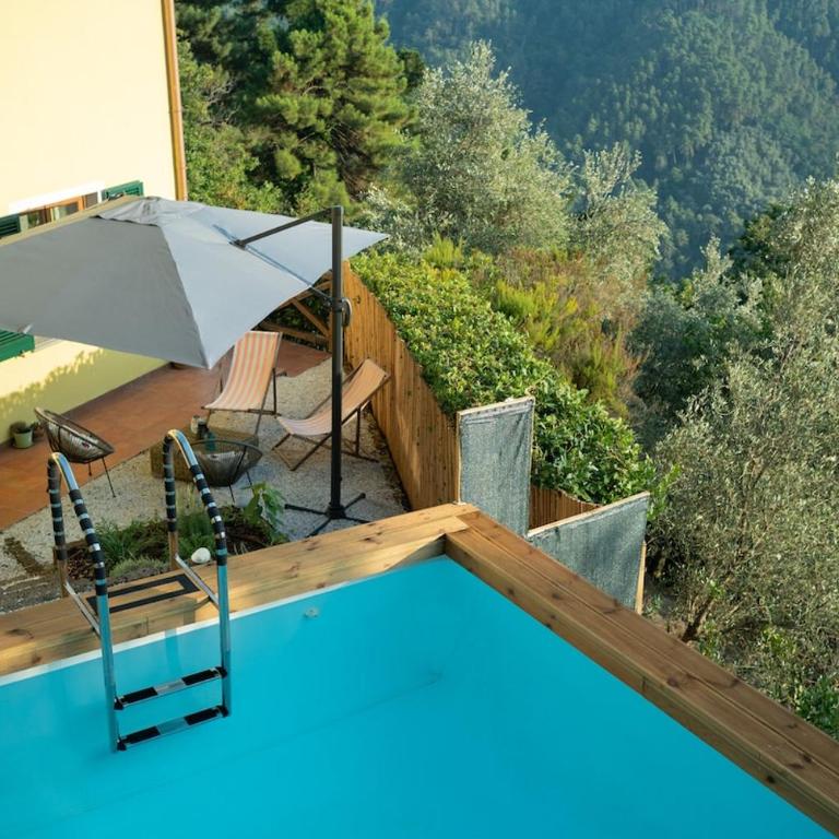 Villa tra gli ulivi - piscina e relax con vista sul mare - Villa - 12