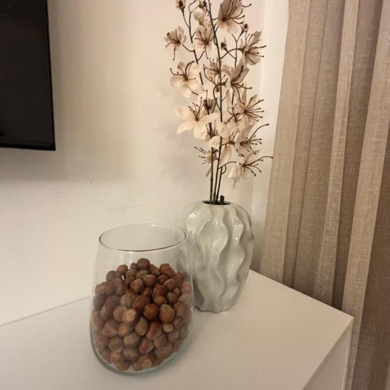 The Gracanica View - Apartman sa 1 Spavaćom Sobom - 31