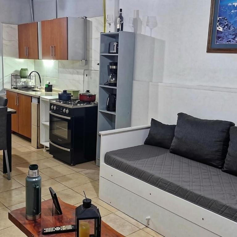 Departamento diario, Excelente Ubicación Mendoza - Apartamento de 1 dormitorio - 10
