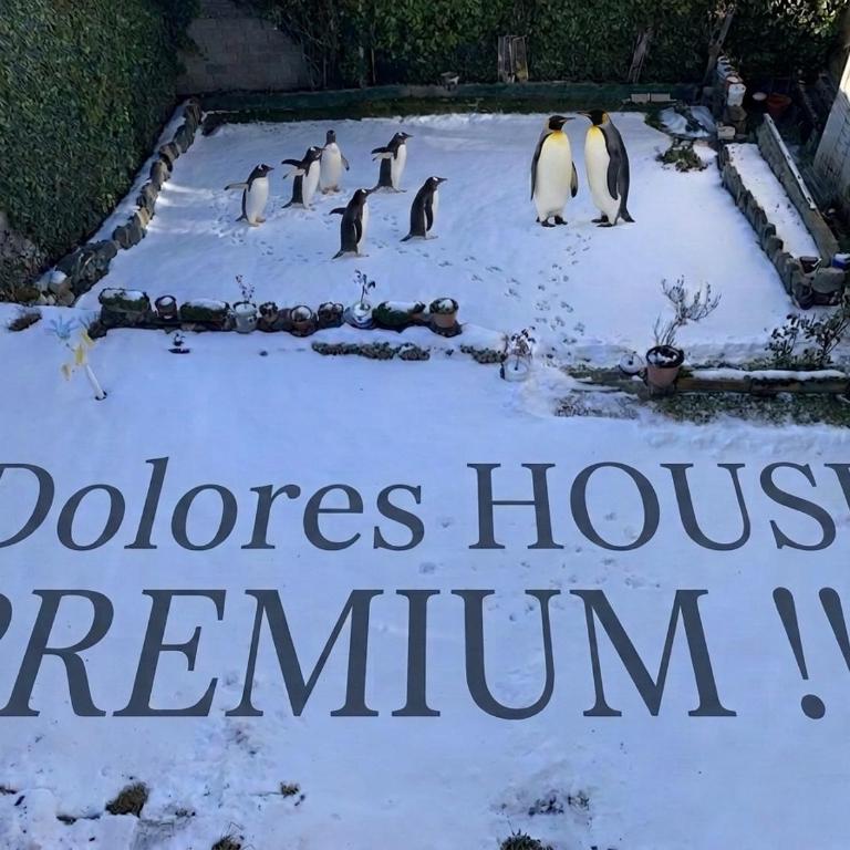 Dolores House PREMIUM - Apartamento de 2 dormitorios - 50