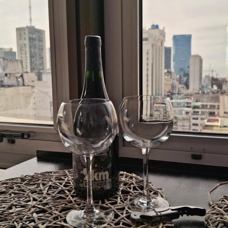 Comodidad y belleza, seguridad 24hs, céntrico, cochera, zona Galerías Pacífico y Obelisco - Apartamento Deluxe de 1 dormitorio con vistas a la ciudad - 25